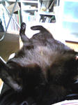 koge090818_02.jpg