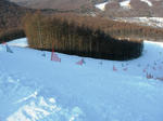SANY0166.JPG