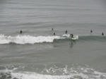 SANY0586.JPG