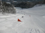 IMG_0985.jpg