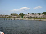 IMG_1523.JPG