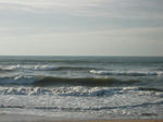 IMGP0135.JPG