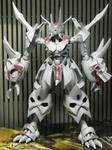 DSCN0484.jpg