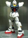 DSCN0504.JPG