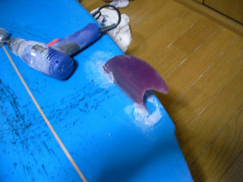 20090206_000.jpg
