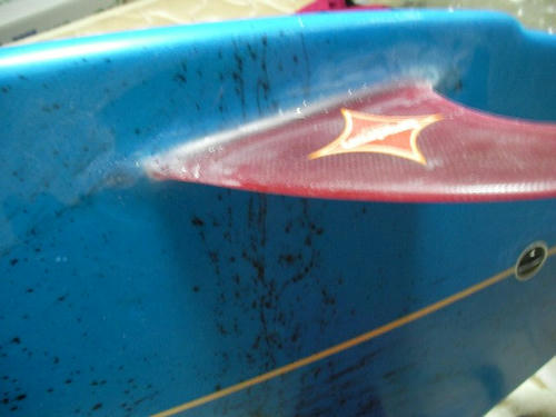 20090207_000.jpg