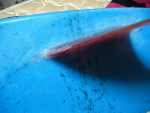 20090207_001.jpg