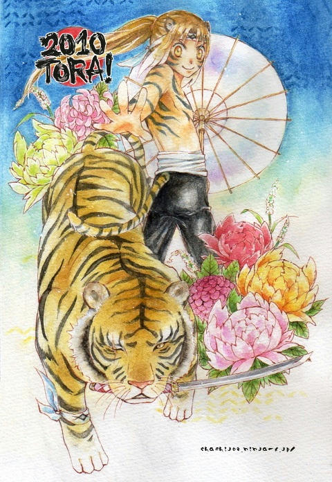 しゃちさんより