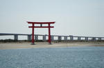 DSC04217.jpg