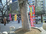 100224_0001.jpg