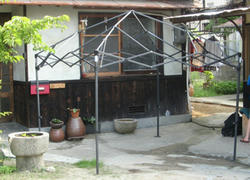 IMG_1567.jpg