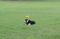 P1010004.jpg