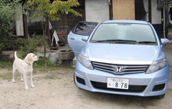 IMG_1786.jpg