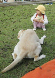 IMG_1803.jpg