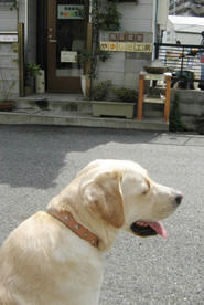 IMG_1863.jpg