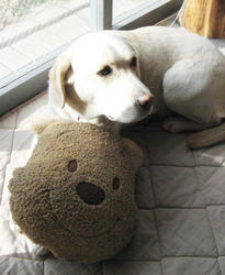 IMG_2277.jpg