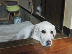 IMG_2728.jpg