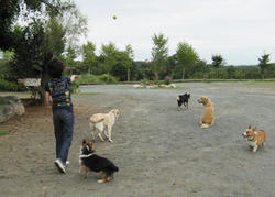 IMG_2849.jpg