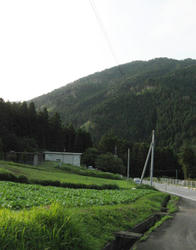 IMG_2973.jpg