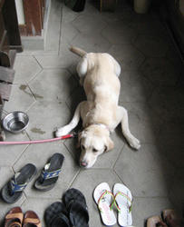 IMG_2997.jpg