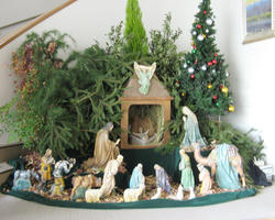 IMG_3523.jpg