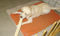 IMG_3530.jpg