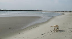 IMG_4711.jpg