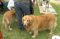 IMG_4721.jpg