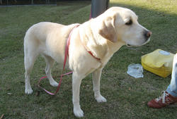 IMG_4940.jpg