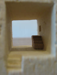 IMG_5156.jpg