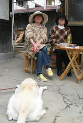 IMG_5561.jpg