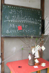 IMG_5623.jpg