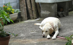 IMG_5632.jpg