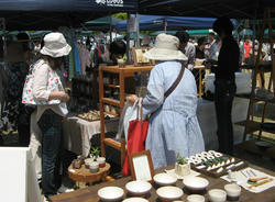 IMG_5674.jpg