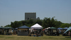 IMG_5685.jpg