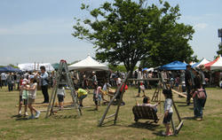 IMG_5686.jpg