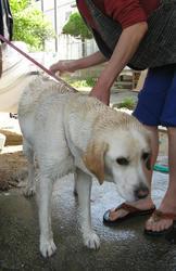 IMG_5778.jpg