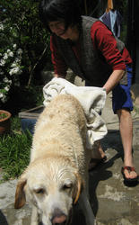IMG_5794.jpg