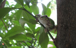IMG_5840.JPG