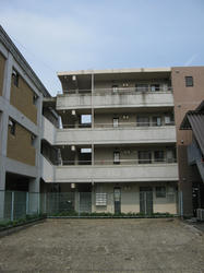 IMG_5867.JPG