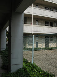 IMG_5869.JPG