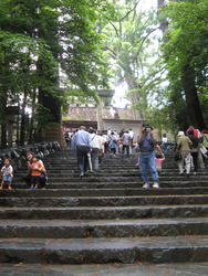 IMG_5912.jpg