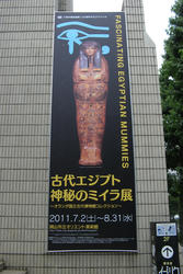 IMG_5958.jpg
