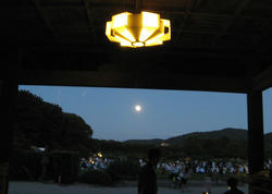 IMG_6138.jpg