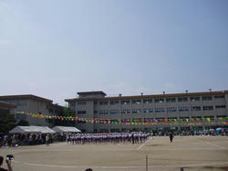 86fe857a.jpg