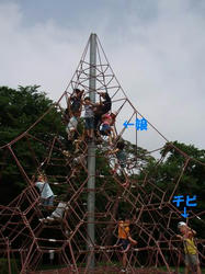 d9b0f56b.jpg