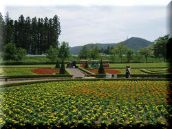 f6d835a0.jpg