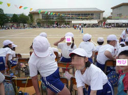 cacc1476.jpg