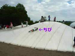 58299865.jpg