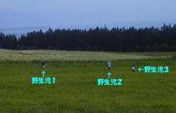 026a80f6.jpg